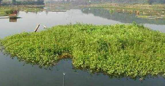 寒露季节野河钓鱼技巧是什么？如何提高钓获率？  第1张
