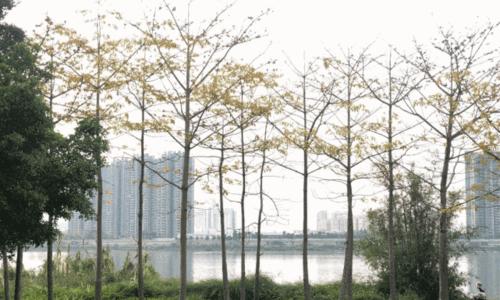 寒溪河钓鱼技巧和方法有哪些？如何提高钓鱼成功率？  第1张