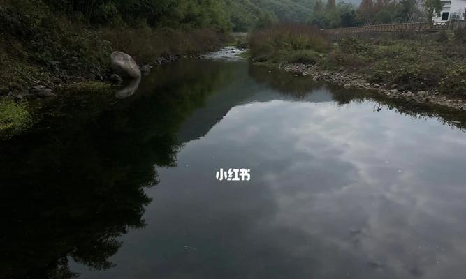 杭州春季钓鱼技巧有哪些？如何提高钓鱼成功率？  第3张