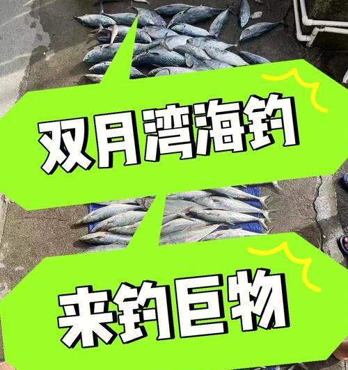 航海热线钓鱼技巧有哪些？如何提高钓鱼成功率？  第1张