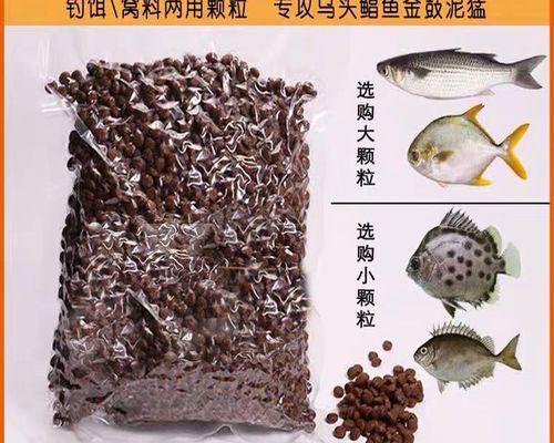 蚝排海钓沉底钓鱼技巧有哪些？如何提高成功率？  第1张