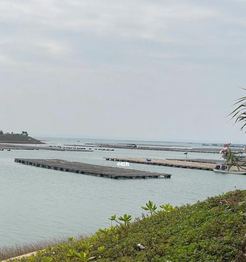 蚝排海钓沉底钓鱼技巧有哪些？如何提高成功率？  第3张