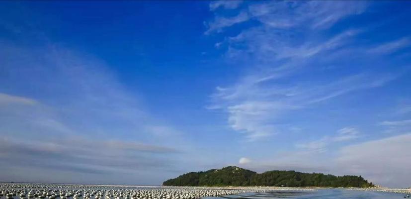 蚝排海钓沉底钓鱼技巧有哪些？如何提高成功率？  第2张