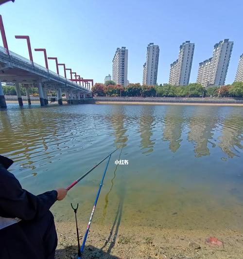 如何掌握好玩的钓鱼技巧？有哪些必备的钓鱼技巧？  第1张