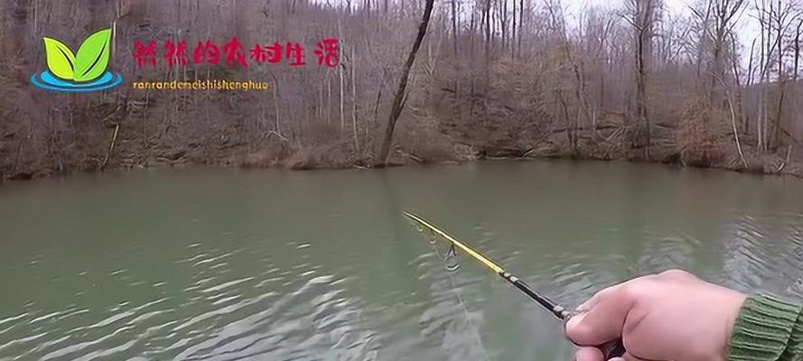 河边钓鱼技巧与调漂怎么掌握？有哪些常见问题需要解决？  第3张
