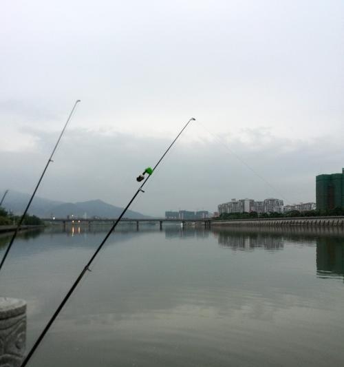 河边钓鱼上钩技巧教学？如何提高钓鱼成功率？  第2张