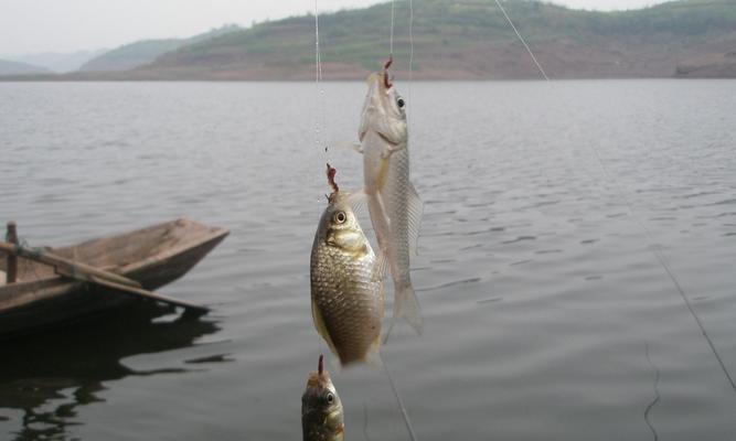 河边钓鱼选位技巧教程？如何找到最佳钓鱼点？  第1张