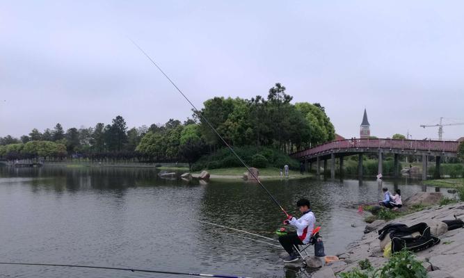 河边钓鱼选位技巧教程？如何找到最佳钓鱼点？  第3张
